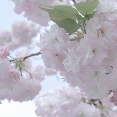 兽设节日场景创作福瑞交流群